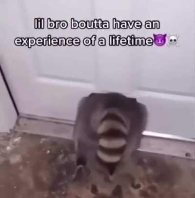 Rubs hands together maliciously 😈😋