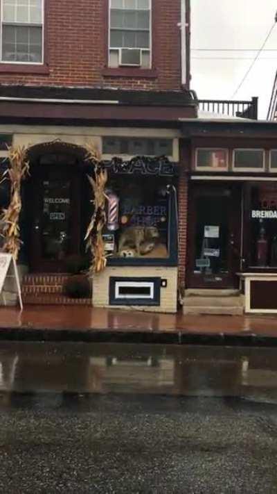 I have so many questions…