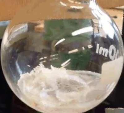 Not sure if this counts. This is a triple point, when the temperature and pressure allows a substance (I.e. water) to boil and freeze at the same time. The right conditions allow all states to coexist.