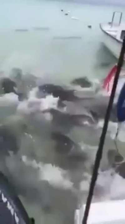 Looks like it's feeding time!