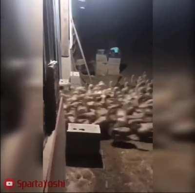 Azeris when they see unprotected Armenian border