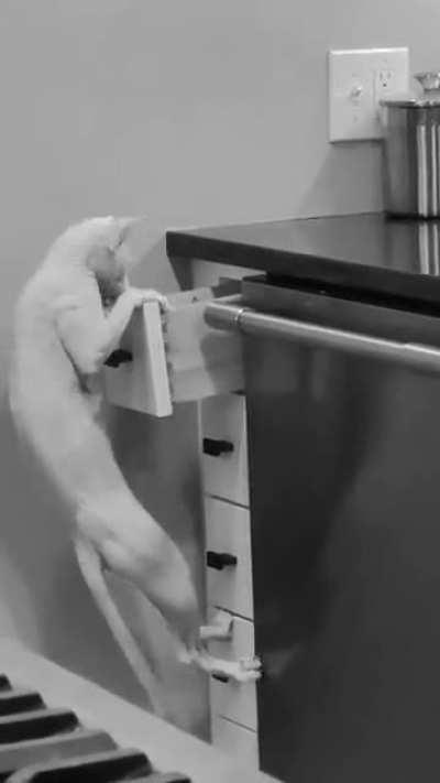 So I guess I need cabinet locks now: Mission Impossible Remix