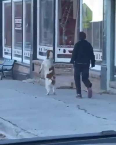 HMK while I go for a walk