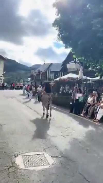 My donkey people need me