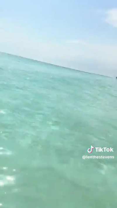 Luna & Lenthe Stevens