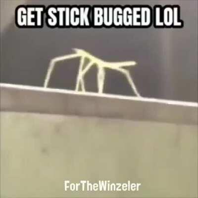 Imagine being too lazy to download the meme and then post it