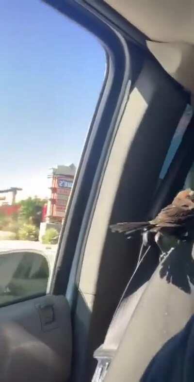 Just happened to my friend who doesn’t have a reddit. Had to share it with this sub. NSFW for language