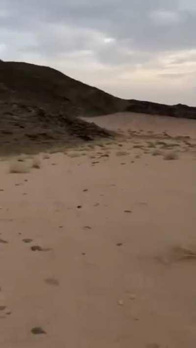 Human being a bro in the middle of the desert