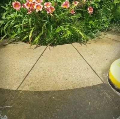 Spring is finally here!