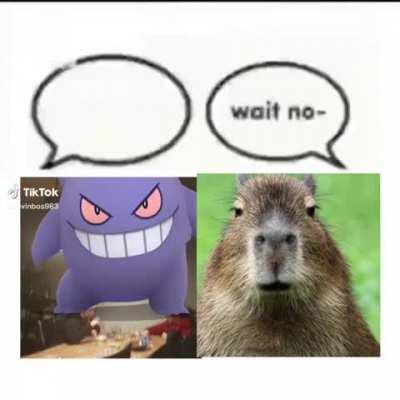 Discordmemes - Video #3436