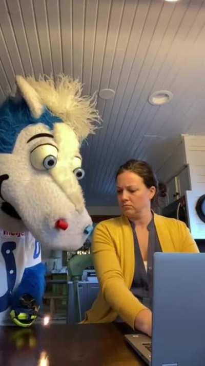 wOmaN GEtS bRuTAlLy cREampIEd By hOrSE