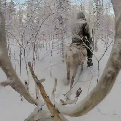 Reindeer, Siberia, Myself (Alone season 6)....Merry Christmas!