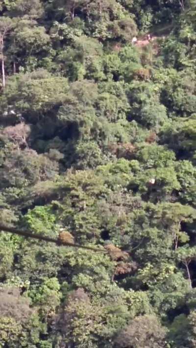 What a way of transportation 