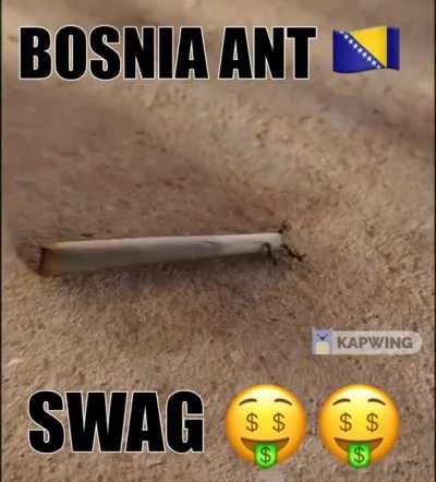 BOSNIA 😎😎💪💪