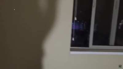 Leafy's mom getting annoyed by him is a vibe