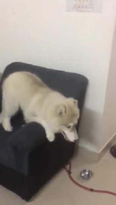 All this tantrums..just not to take Medicine