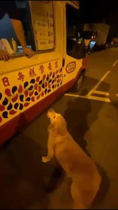 Move over! Old lady on the way for some ice cream!