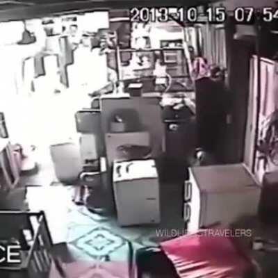 Dog comes back inside the building to look for his friend during earthquake.