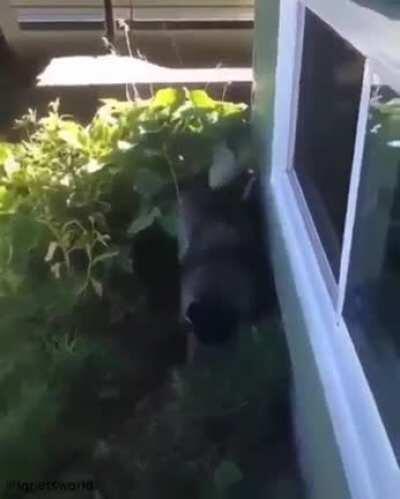 I'm not done getting dirty!