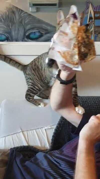 Touch tha muffin