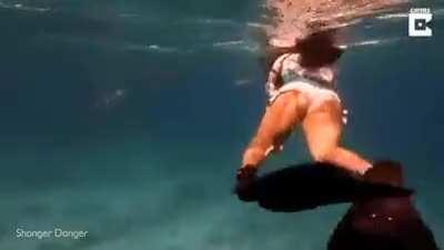 Octopus attaches itself to scuba diver's leg