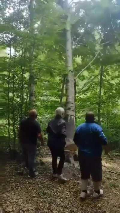 every new valheim player