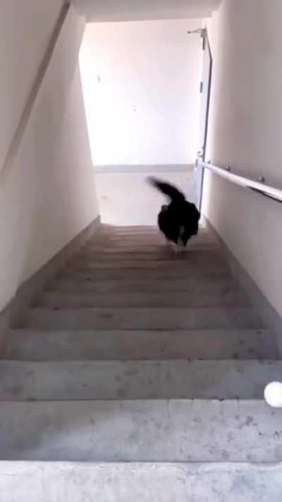 One must image Sisyphus happy