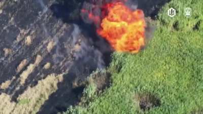 Ukraine's 414th Strike UAV Brigade used an FPV drone to hit a Russian soldier carrying a large pack in a field near Pokrovsk, late August 2025.