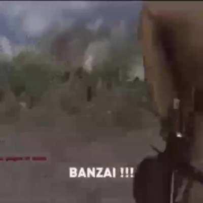 The Japanese have two sides