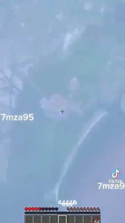 Don't mess with the iron golem 🗿