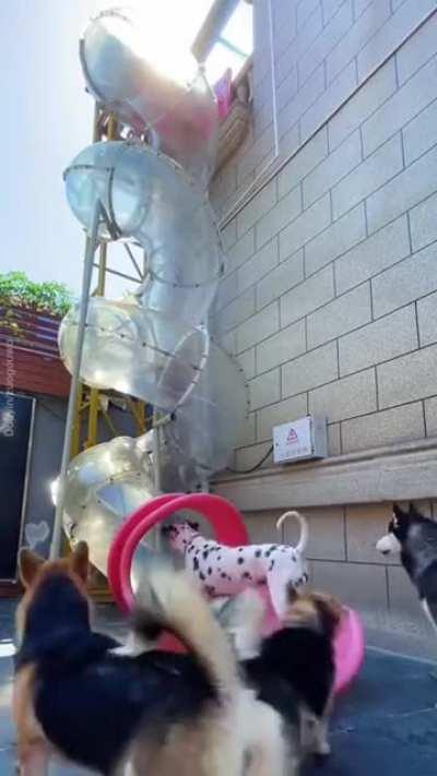 Good time was had by all!