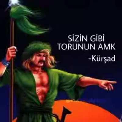 sizin gibi torunun a