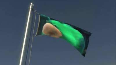 A PLEDGE TO MOSS 💚 :)