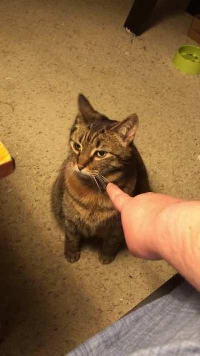 Not what I was going for but OK