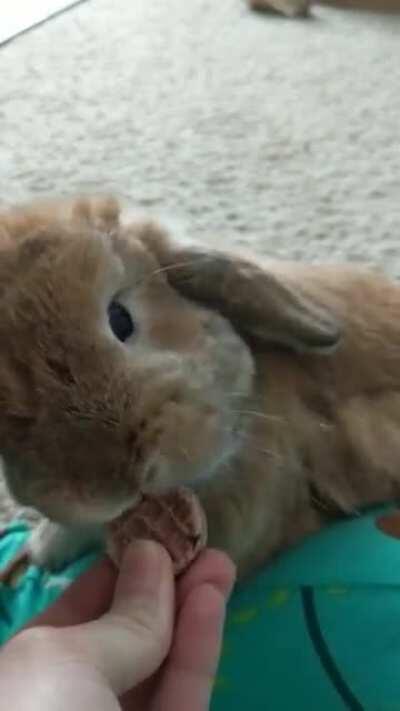 I love how he runs at the end lol