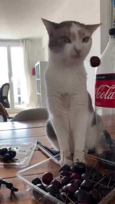 She loves to PLAY with (not eat) cherries 🍒