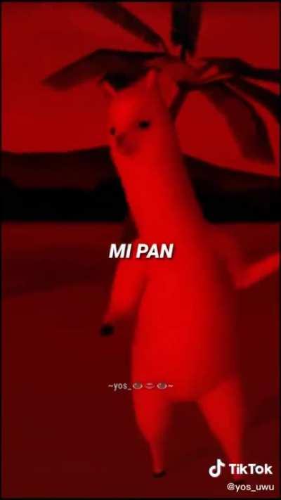 Please someone explain tiktok for me this got like 8 million likes like why?