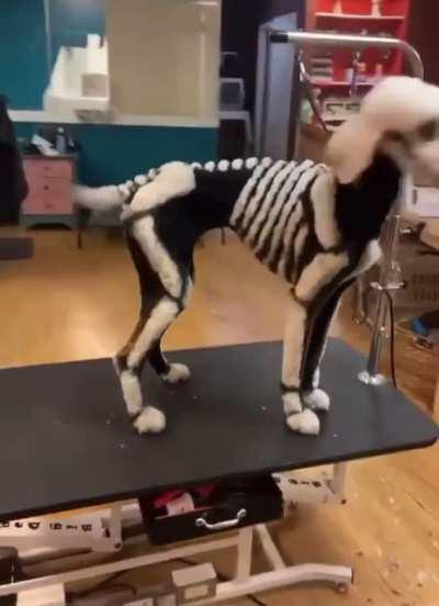 Thanks, I hate it. Why hooman doing like this