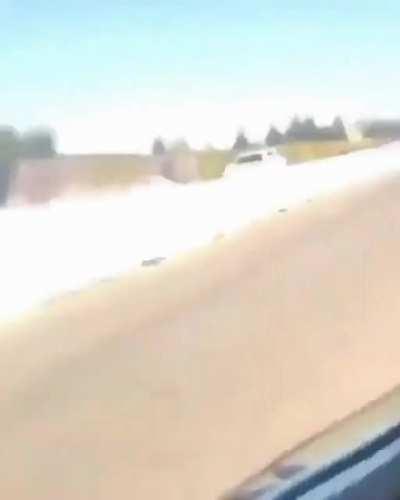 Endangering everyone is super cool!