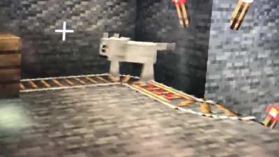 You guys, something’s wrong with my dog.