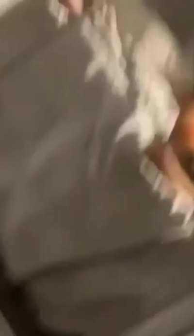 canilive601 - Video #4596