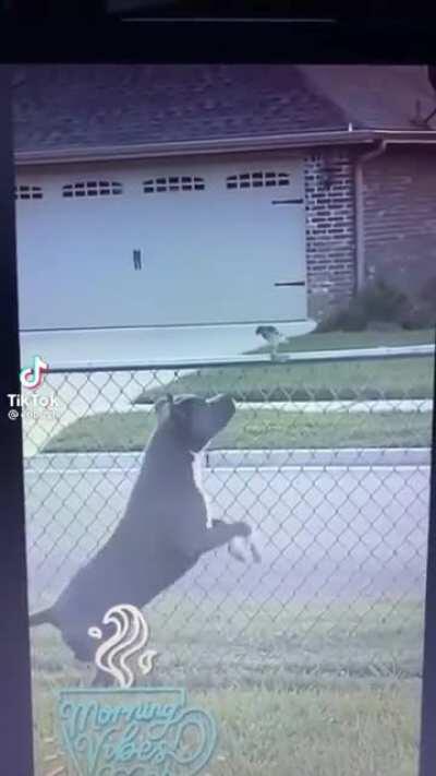 I thought they where becoming friends