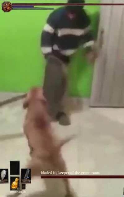 K9,keeper of the green room