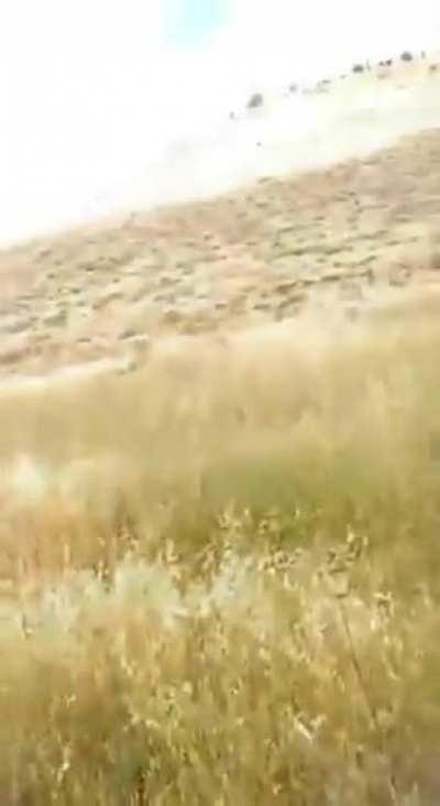 Courageous Israeli puts the Palestinian flag in its place