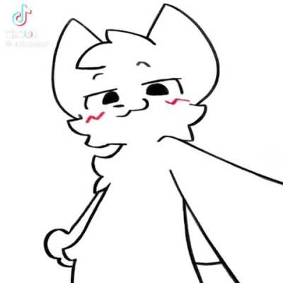 My sis sent me this on TikTok