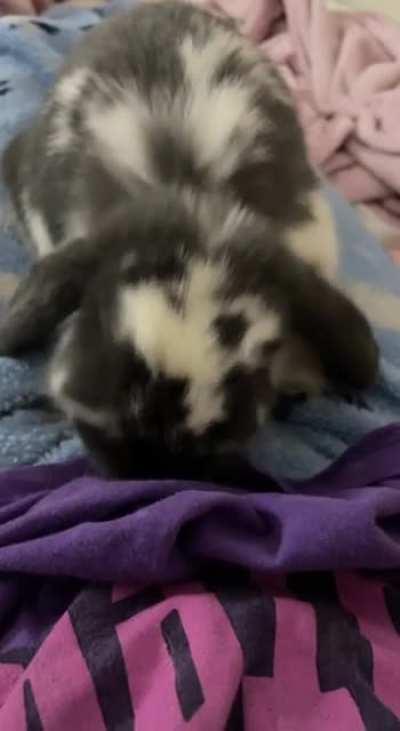 Why is he doing this to me???