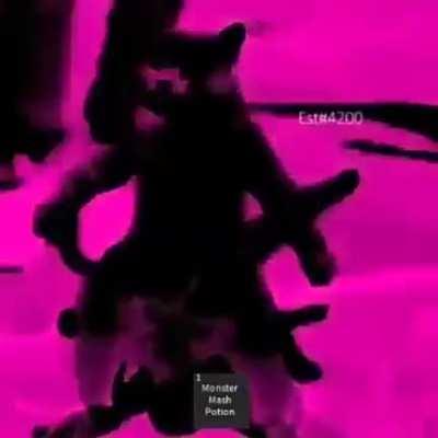 Gato dançandokkkkkkk