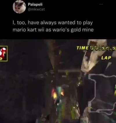 “I want Diddy kong in Mario kart 🤓” Me, an intellectual