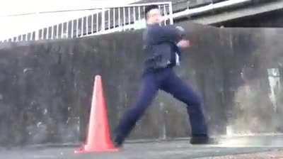 Fighting beast style be like