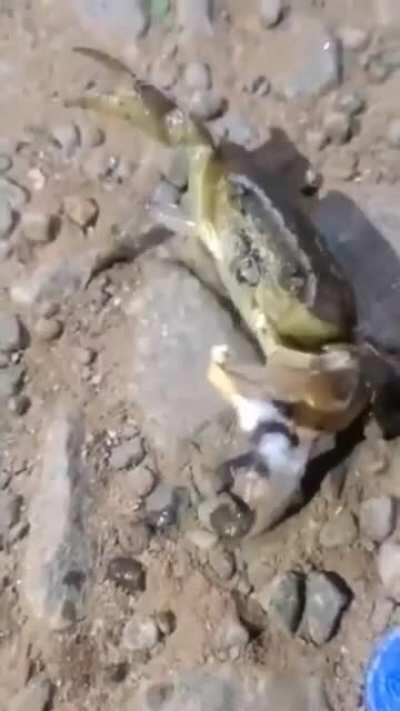 Alguien se acuerda como se llamaba el bro?